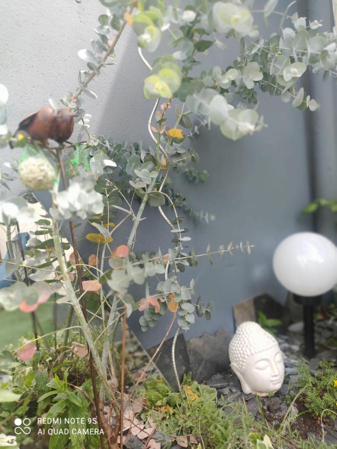 Le Cocon Des Hortillonnages D'Amiens Camon  Exterior foto