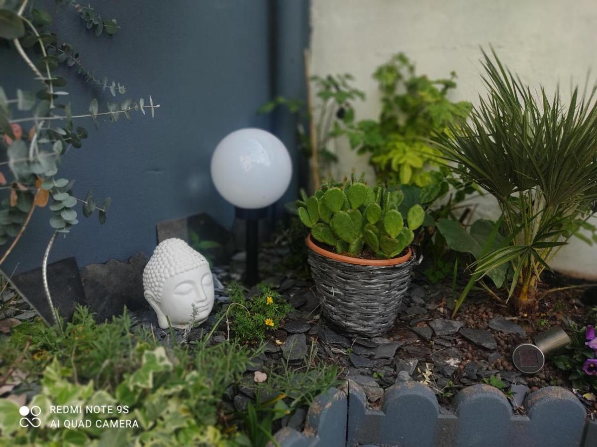 Le Cocon Des Hortillonnages D'Amiens Camon  Exterior foto
