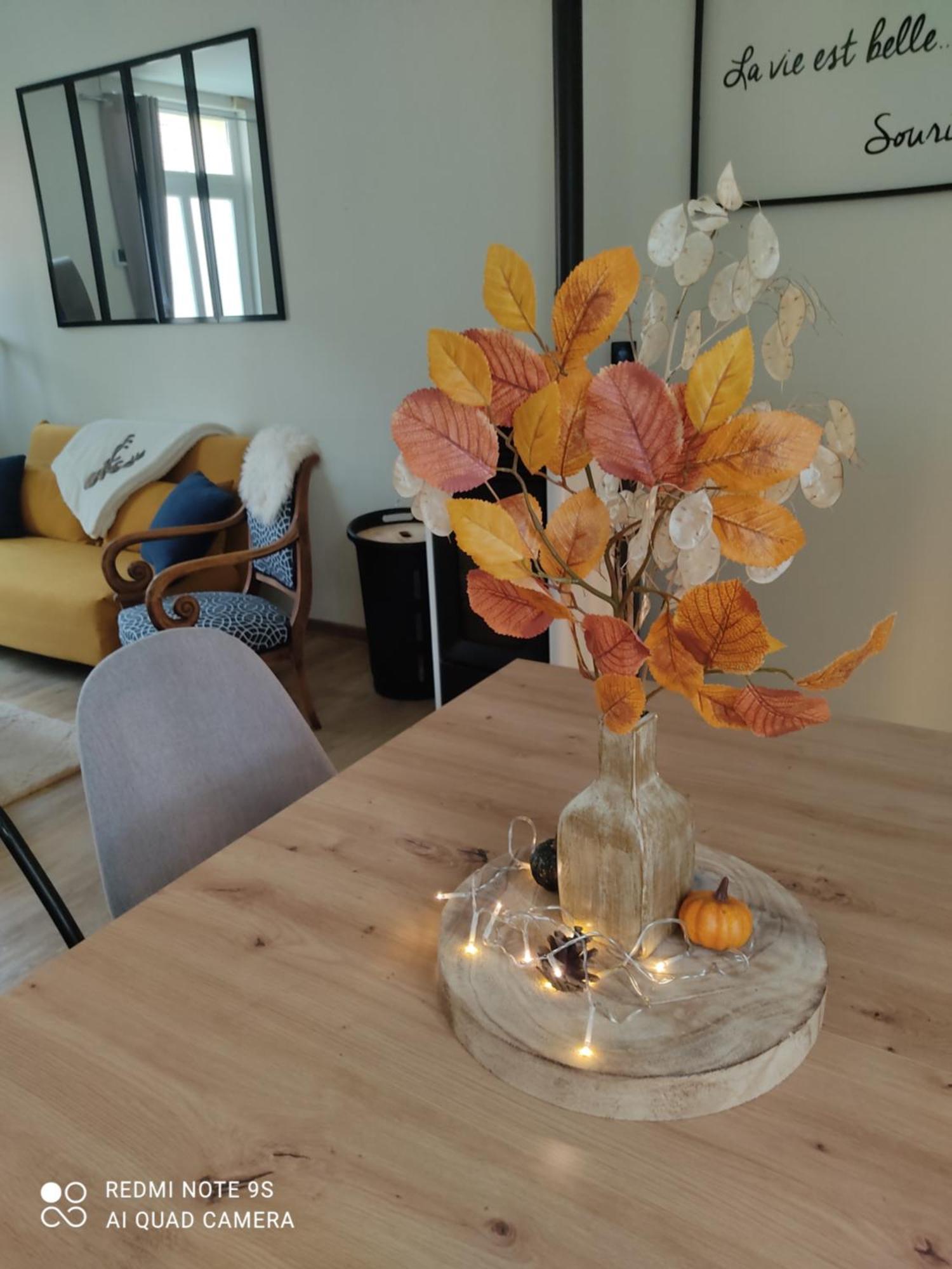Le Cocon Des Hortillonnages D'Amiens Camon  Exterior foto
