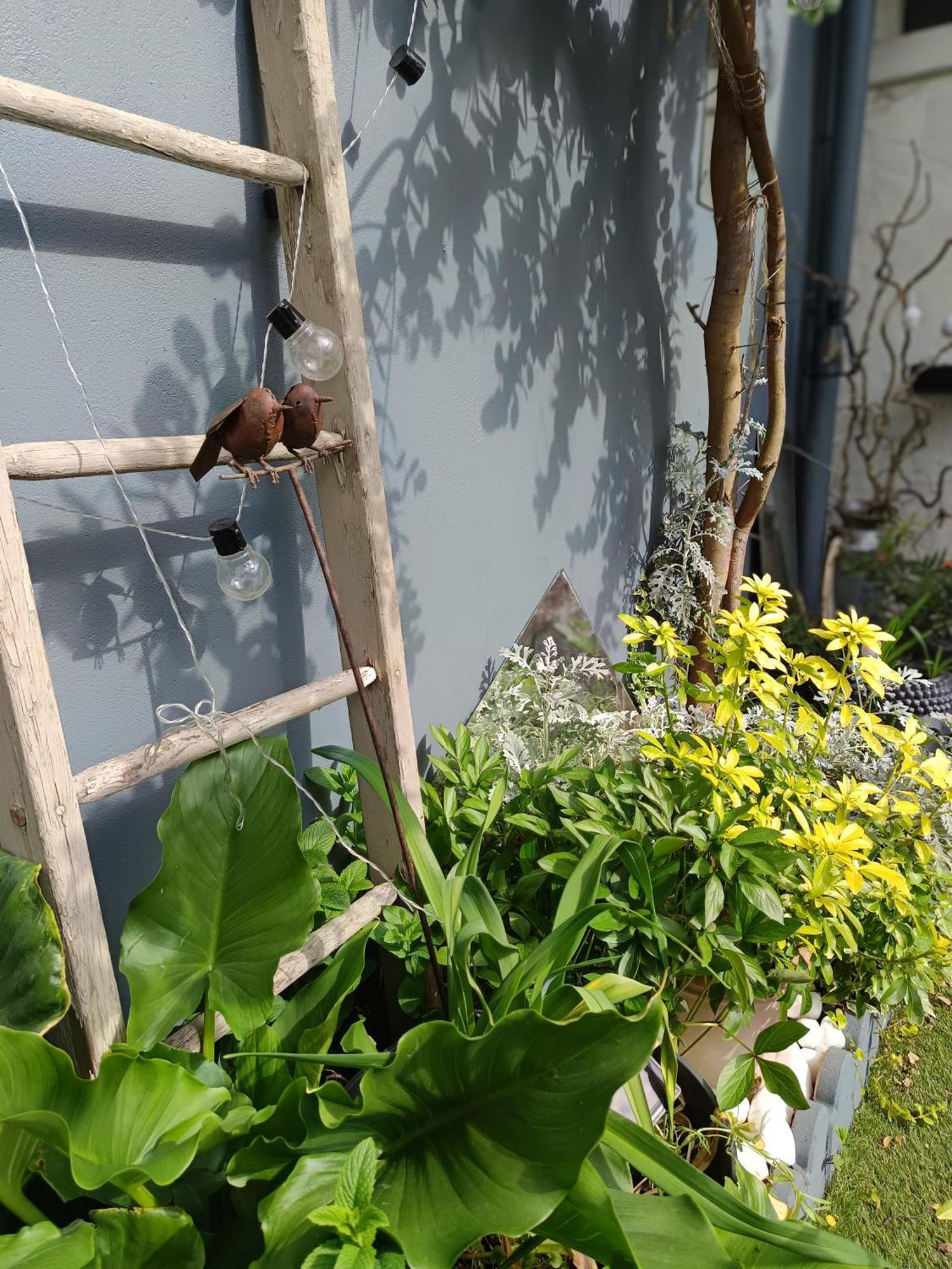 Le Cocon Des Hortillonnages D'Amiens Camon  Exterior foto